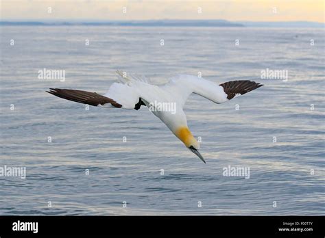 Image result for Zip File Icon Linux