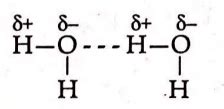 What is the reason for unusual high boiling point of water?