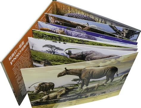 PNSO Super Lift-the-Flap: Ancient Animals Officially Published in Chinese – PNSO