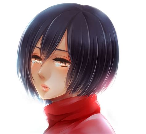 Mikasa Ackerman - Attack on Titan - Image by Pixiv Id 8056553 #1631057 ...
