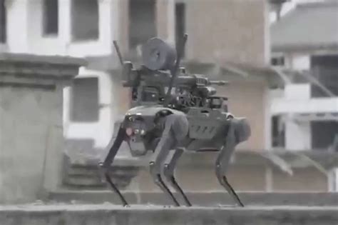 Weaponized Robots 的图像结果