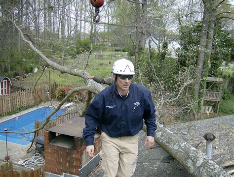 Image result for Alpharetta Tree Service