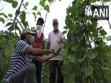Retired civil servants issue statement in support of farm sector laws