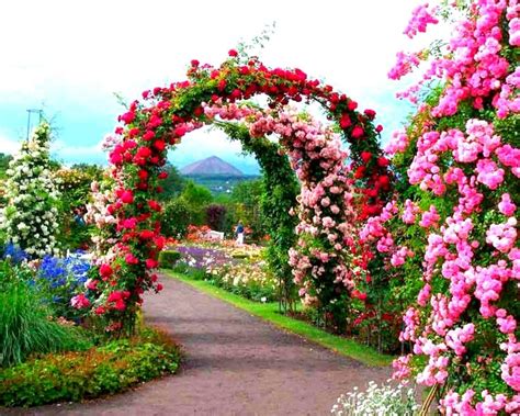 Rose Garden HD Wallpapers - Top Free Rose Garden HD Backgrounds ...