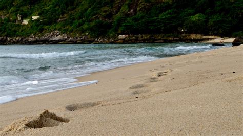 Running at the Beach 的图像结果