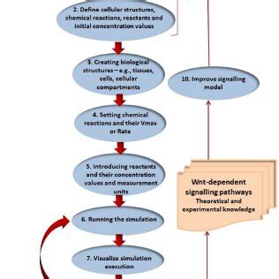 Image result for Simulation Workflow Automation with Python