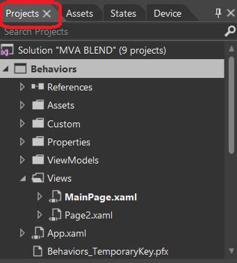 Image result for Visual Studio Blend Polygon