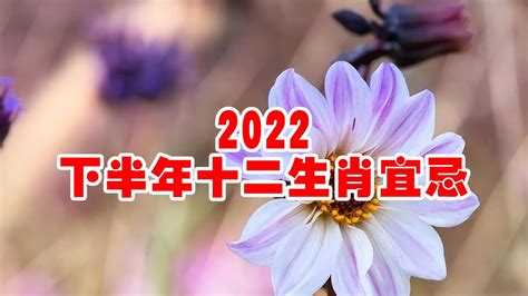 2022下半年十二生肖宜忌【佛語】 - YouTube