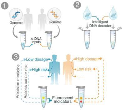 Image result for How to Program DNA