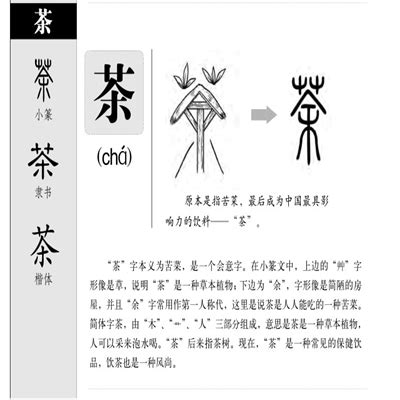 “茶” 的汉字解析 - 豆豆龙中文网