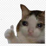 Sad cat thumbs up Meme Generator - Imgflip