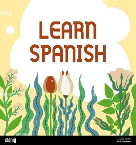 Frame In Spanish Translation at Garry Richmond blog