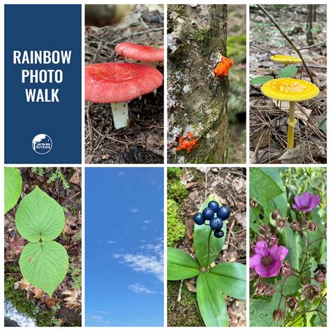 Activity in Spring 的图像结果