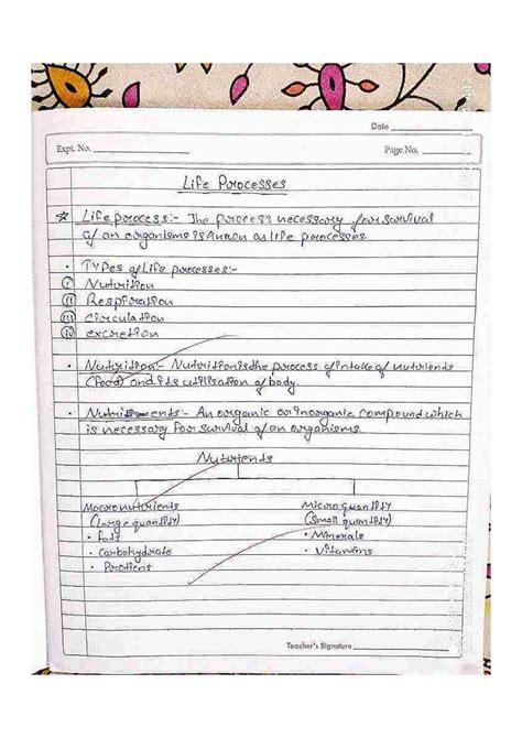 Image result for Class 10 Science Chapter 5 Life Process Notes