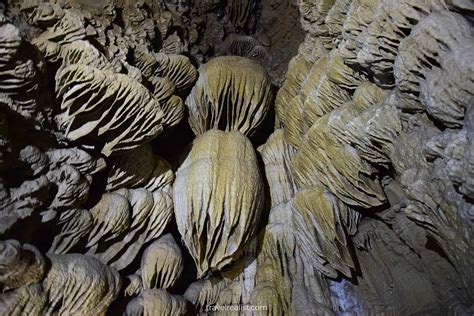 Oregon Caves National Monument & Preserve: Discovery Tour - Travel Realist