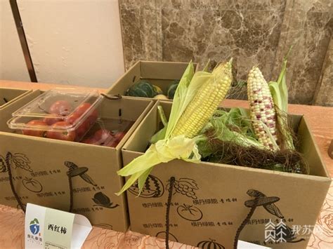 行业动态 中国蔬菜流通协会产业委员会
