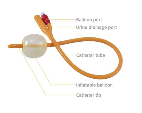 Catheter Balloon Check at Tyra Lopez blog