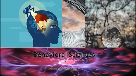 Behaviour Science 的图像结果