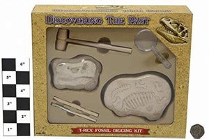 Kandy Toys T Rex Dinosaur Fossil Digging Kit - Boys Archaeology Set ...