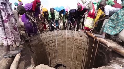 2050 Humans 的图像结果