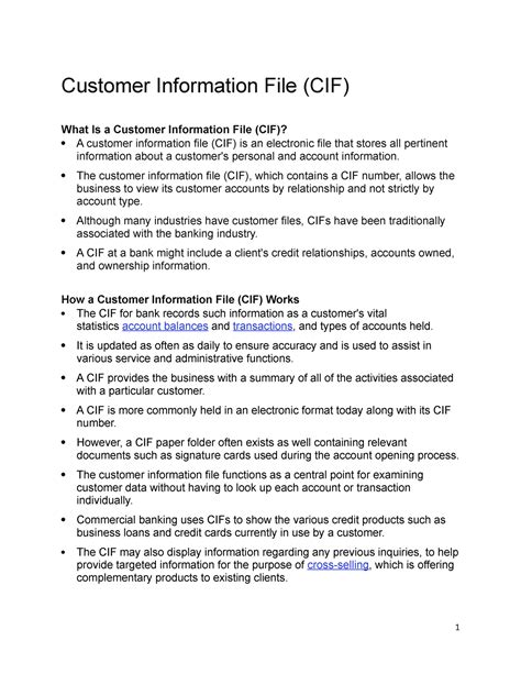 Customer Information File 的图像结果