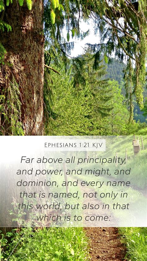 Ephesians 1:21 Bible Verse Meaning | Far above all principality, and ...