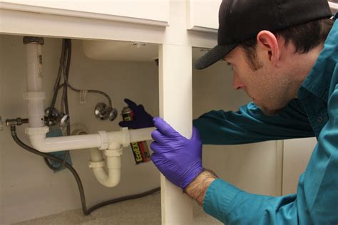 Cockroach Bite Treatment