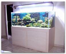 aquarium pas cher neuf aquarium a vendre pas cher aquarium pas cher neuf aquarium a vendre pas cher
