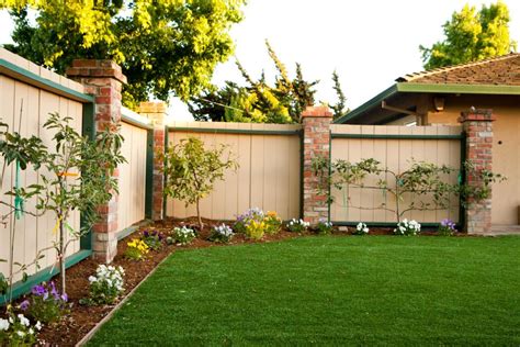 landscaping ideas by fence