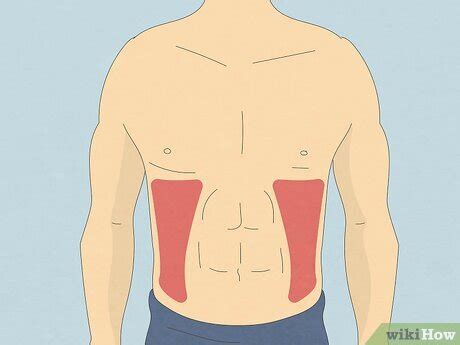 Rotation Machine Exercise Illustration 的图像结果