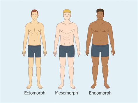 Male Body Types Quiz: Find Your Shape & What it Means
