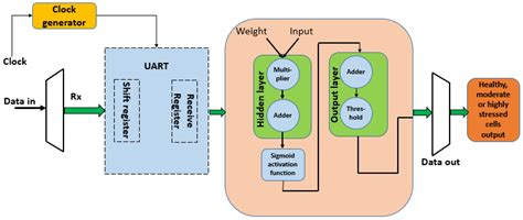 Computer Vision-Based Kidney’s (HK-2) Damaged Cells Classification with ...