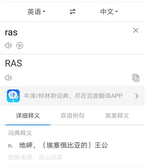 RAS是什么意思-