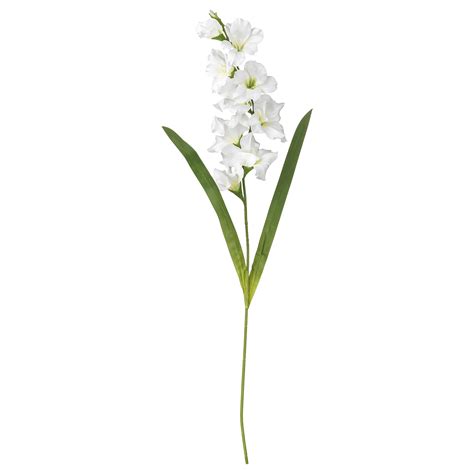 SMYCKA artificial flower, Gladiolus/white, 100 cm (39 ¼") - IKEA