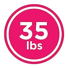 Berry Ave Broom Holder & Wall Mount Garden Tool Organizer - Home ...