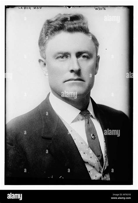 Working Class Structure 的图像结果