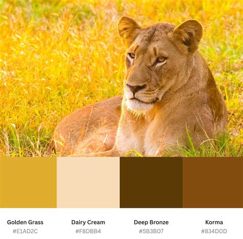 Shades of Yellow : 100+ Color Names, Hex, RGB, CMYK Codes