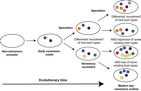 British Journal of Haematology | Wiley Online Library