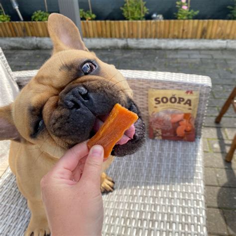 Sweet Potato for Dogs: Benefits, Feeding Guide & Treats | Soopa Pets