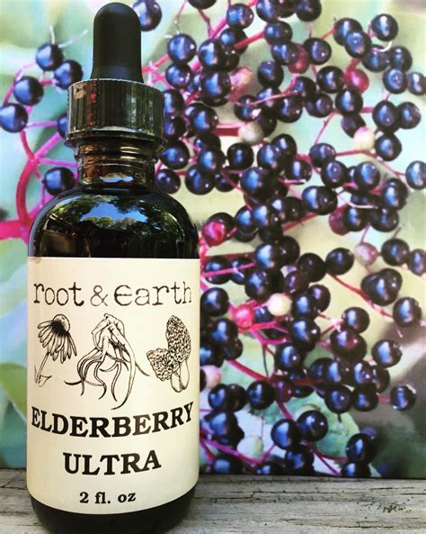 Elderberry Ultra – Wild Harvested & Ethically Sourced Plant & Fungi Medicine