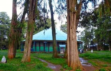 Motta Tourism (2026) Ethiopia - Best Places to Visit in Motta, Motta ...