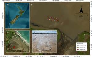 Latest Marine Biology News