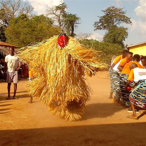 DAYO AFRICA TOURS - All You Need to Know BEFORE You Go 2026 (with ...