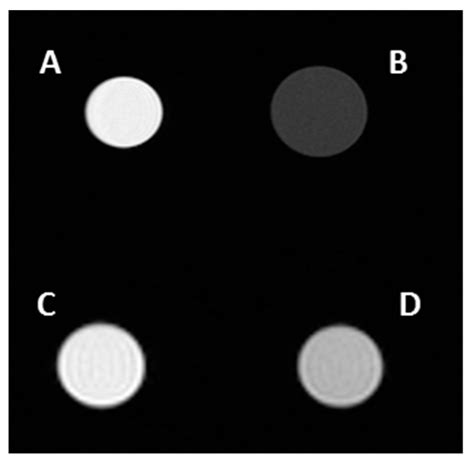 Functionalized Gold Nanoparticles as Contrast Agents for Proton and ...