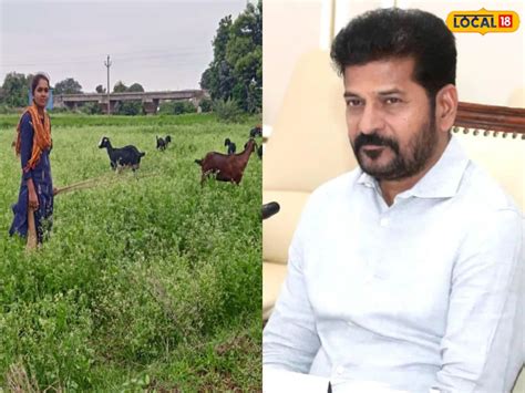 మేకల కాపరిగా మారిన ఐఐటీ ర్యాంకర్... సీఎం రేవంత్ రెడ్డి స్పందనతో అందిన ...