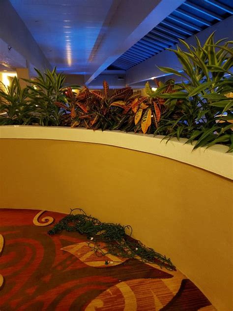 EMBASSY SUITES BY HILTON ORLANDO NORTH (Altamonte Springs) - Hotel ...