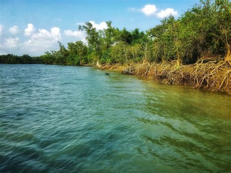 THE 10 BEST Places to Visit in Barisal Division (2026)