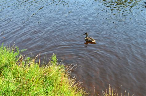 Indian Mountain Lake in Albrightsville PA