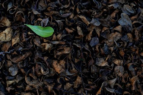 OECD PISA Results: Maths and reading skills in 'unprecedented drop ...