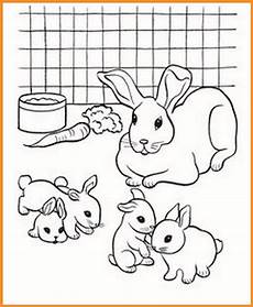 ausmalbilder baby hase ausmalbilder hasenfamilie rooms project ausmalbilder baby hase ausmalbilder hasenfamilie rooms project